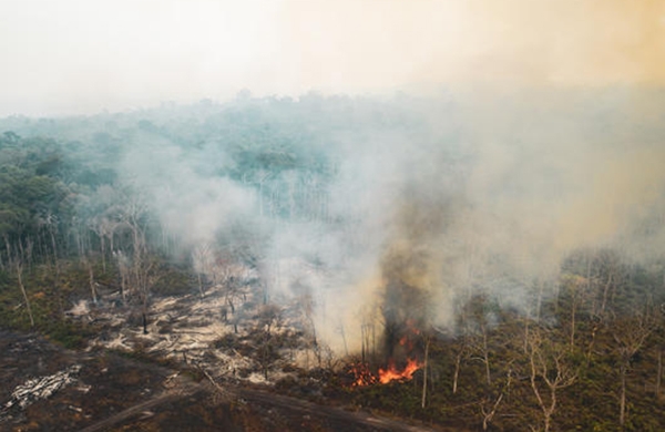 아마존을 휩쓰는 화염이 한 달 넘게 지속되고 있어 국제사회의 우려가 커지고 있다. 브라질 혼도니아주에서 발생한 화재 항공사진. (사진=그린피스/ Victor Moriyama)copyright 데일리중앙