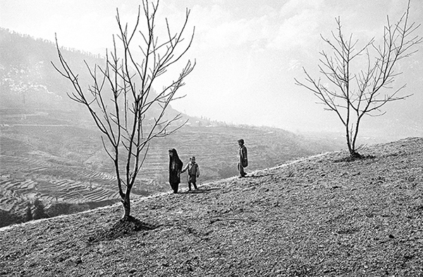 아이들의 '나무돌이' 2013년 인도 카슈미르 땅에 피어나는 아몬드나무 꽃은 긴 겨울이 끝났음을 알리는 봄의 전령사다. (사진=박노해) copyright 데일리중앙