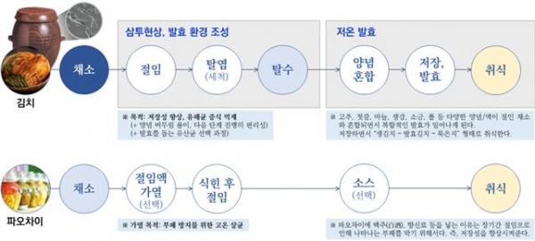 김치와 파오차이의 제조과정 비교. (자료=세계김치연구소) copyright 데일리중앙