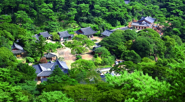위에서부터 인천 무의도 하나개해수욕장, 송도 도그파크, 강화도 전등사. (사진=인천시)copyright 데일리중앙