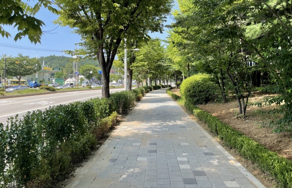 고양시가 미세먼지·탄소 감축에 앞장서며 기후변화에 적극 대응하고 있다. 이동환 고양시장은 21일 "미래세대를 위한 친환경 정책으로 지속가능한 녹색도시로 만들겠다"고 말했다. 위에서부터 전기차 충전소, 도로 위 미세먼지를 제거 중인 살수차, 미세먼지 차단 가로숲. (사진=고양시)copyright 데일리중앙
