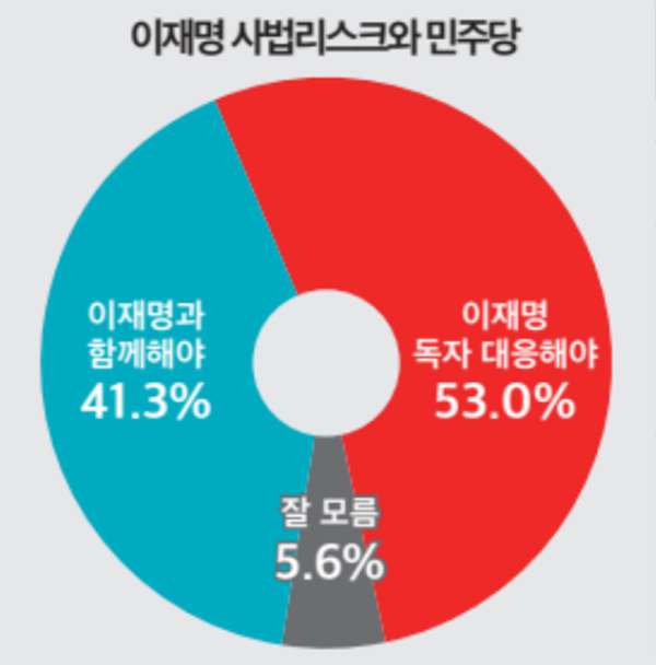 이재명 민주당 대표에 대한 검찰 수사가 본격화하고 있는 가운데 이른바 '이재명 사법 리스크'에 대한 민주당 입장과 관련해 이 대표가 독자 대응해야 한다는 여론이 50%를 넘는 것으로 나타났다. (사진=민주당, 자료=뉴스토마토)copyright 데일리중앙