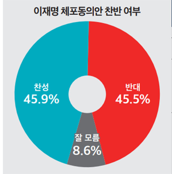 그래픽디자인=뉴스토마토 copyright 데일리중앙