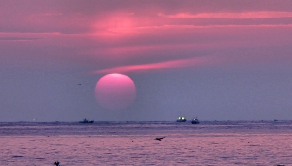 동해 물결 위로 새희망을 넘실대며 2024년 첫 태양이 떠올랐다. (사진=정기철)copyright 데일리중앙
